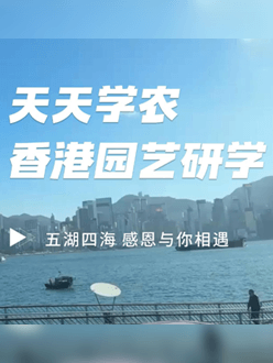 与香港园艺学会联合举办香港园艺研学，专业园境师带队讲解。