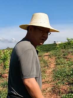 农业人叶涛，50多岁通讯人跨界搞农业，他要用1000万打造一个梦。