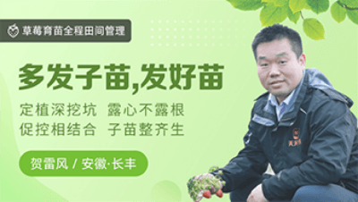 多发子苗，发好苗